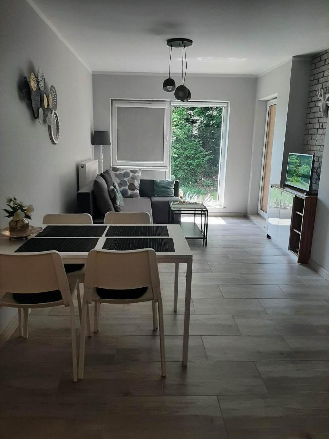 Apartament Lilu Шклярська Поремба Екстер'єр фото
